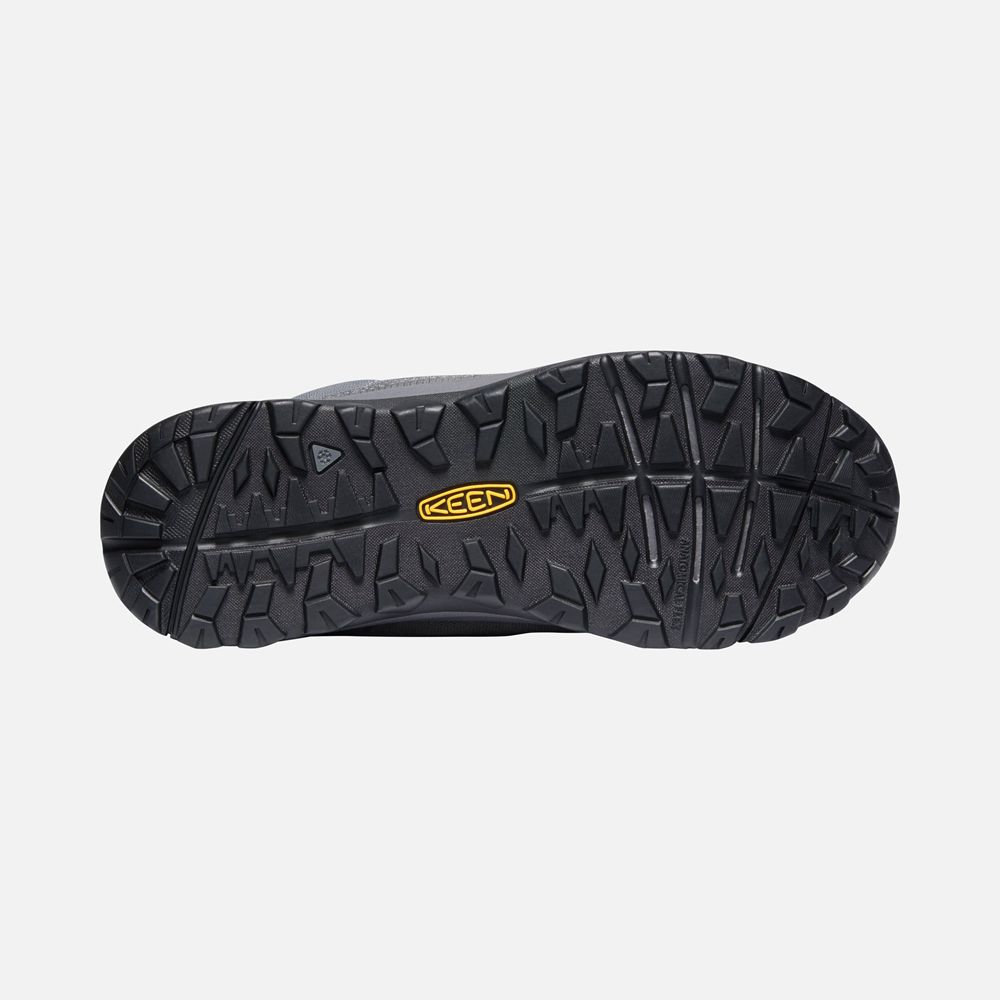 Keen Vinterkängor Dam Grå - Terradora Ii Lace Up Waterproof - 130894XDH